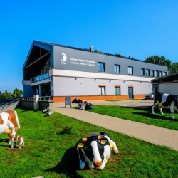 Muzeum