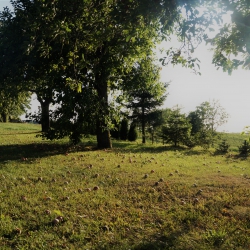 II miejsce Słoneczny sad Filip Muszyński