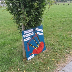 0bae7800-2b59-45ea-b20b-ac8978ed48d5