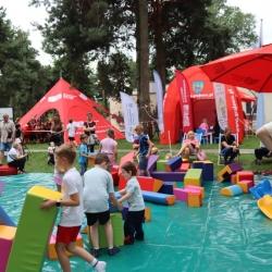 540702118_1151226263723683_5275396218527637794_n