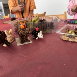 514273958_1373597384770950_8656217341045260306_n