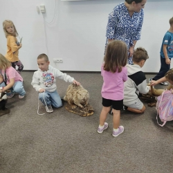 546202761_1373596478104374_5332962558066597382_n