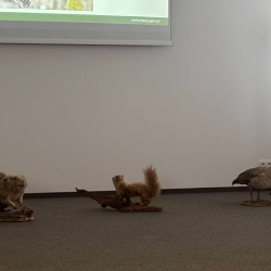 547222797_1373596371437718_1075326580332674167_n